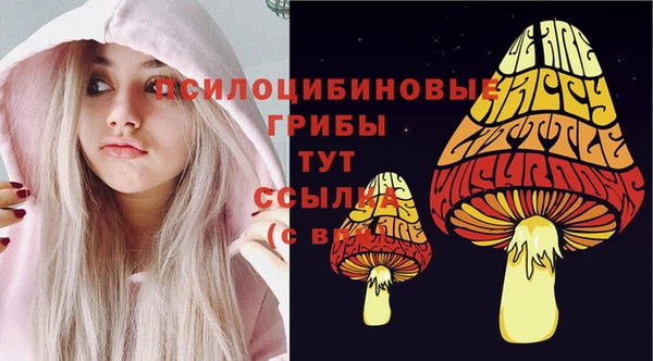 не бодяженный Абаза