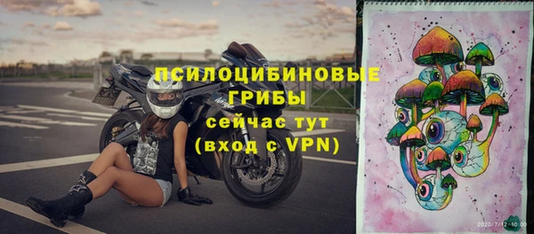 винт Лабытнанги